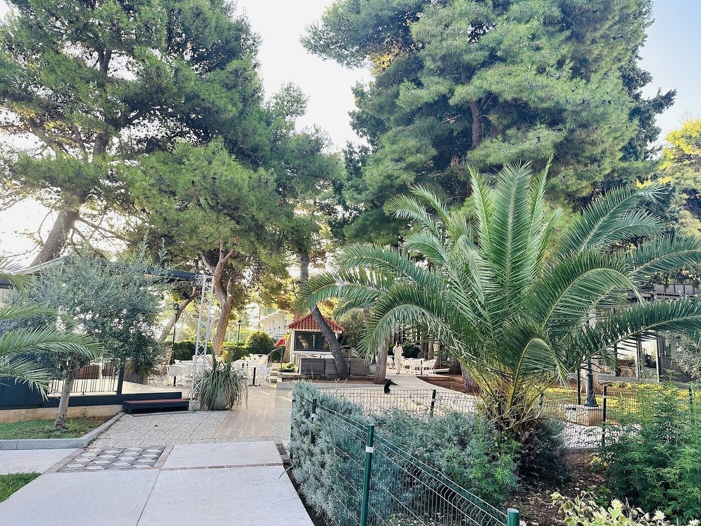 Фотография Tui Suneo Supetar 4*